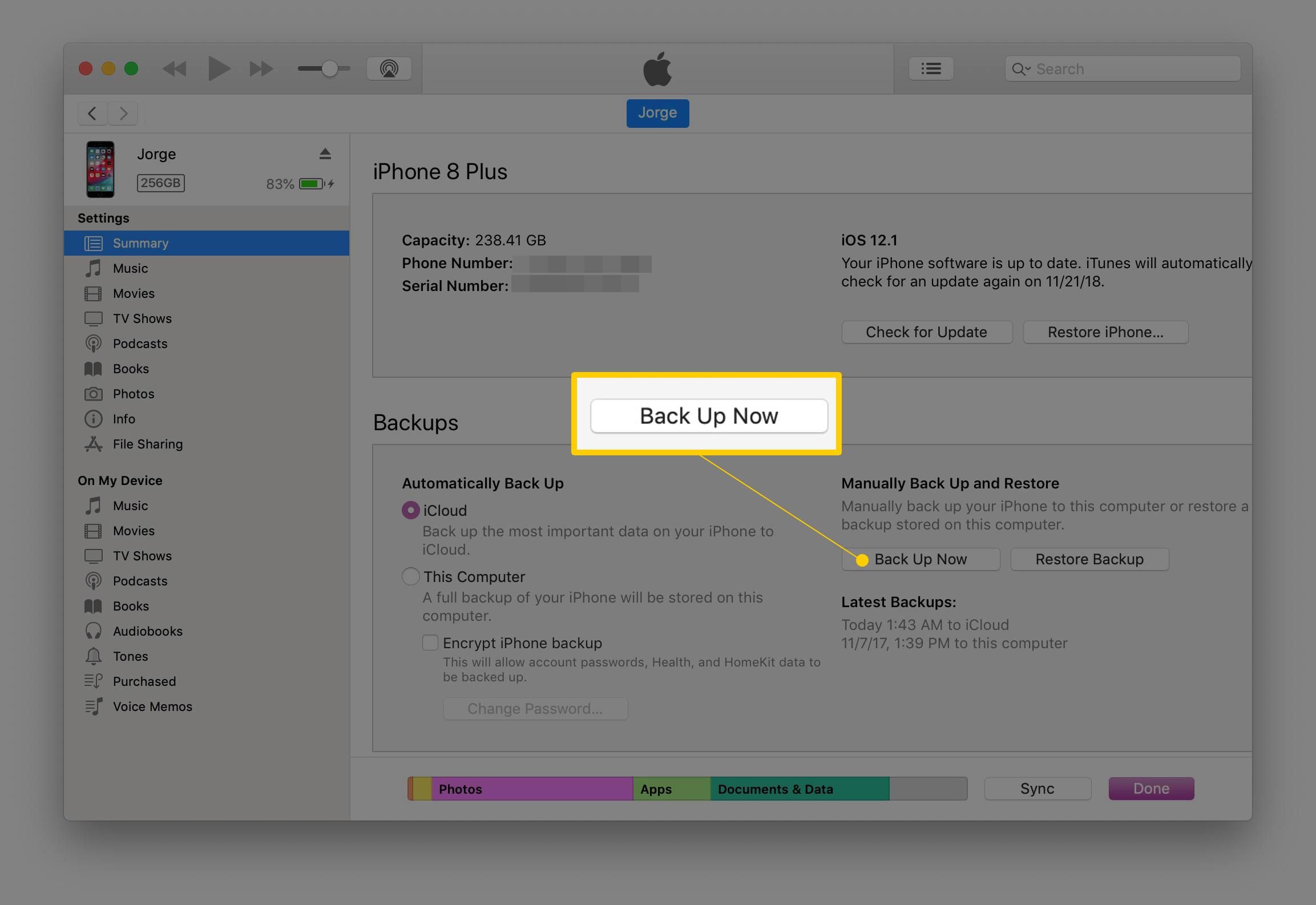 Кнопка «Создать резервную копию сейчас» в окне управления iTunes с iPhone