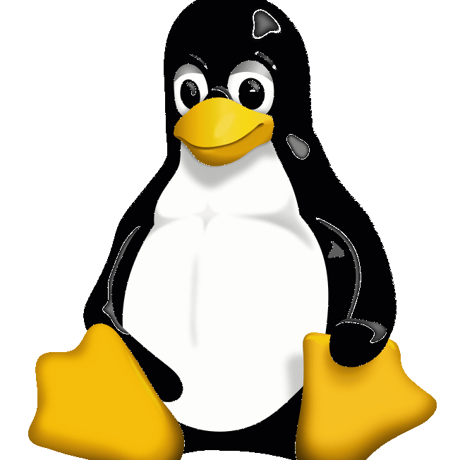 Linux против GNU / Linux