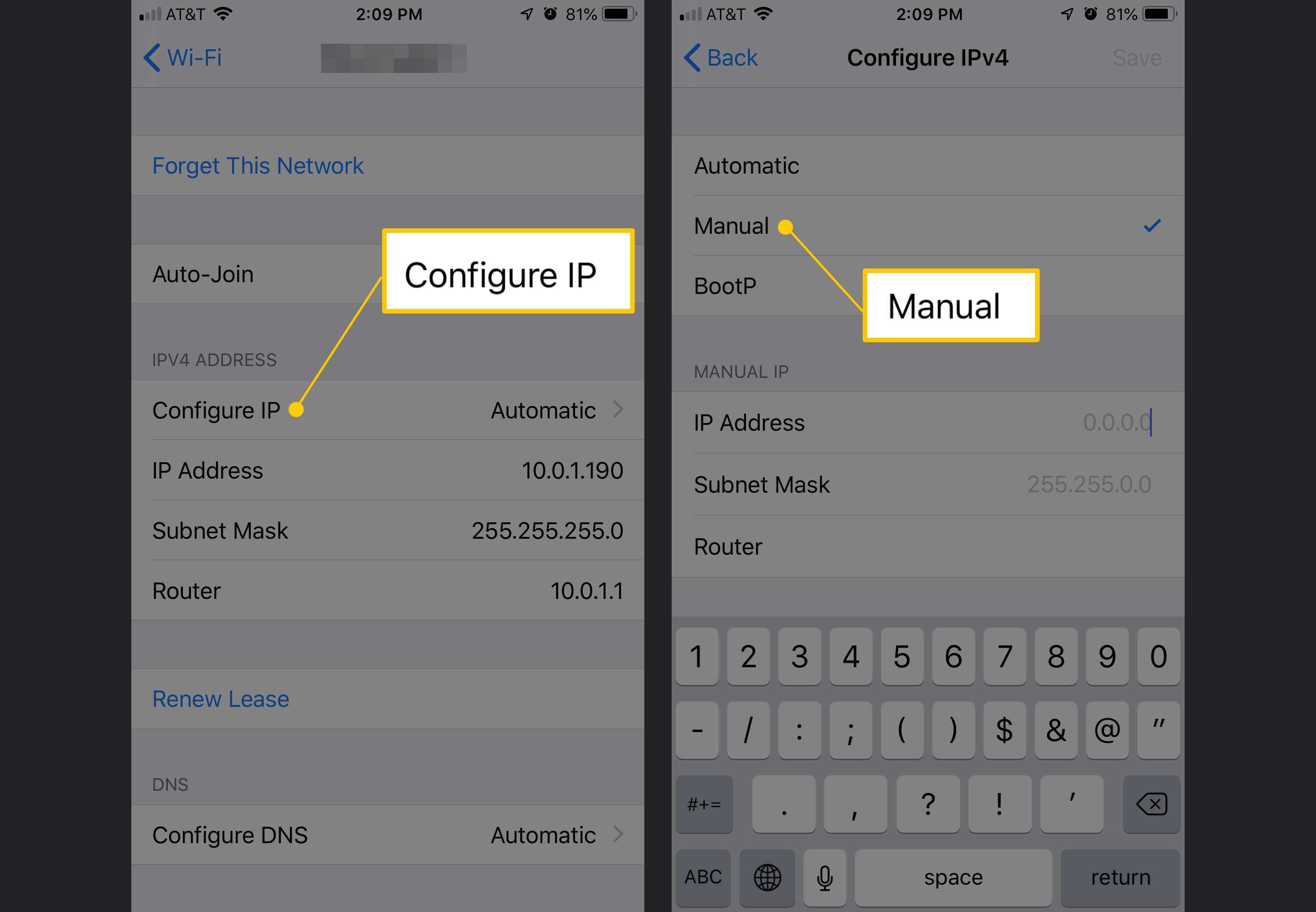 Два экрана iOS с кнопкой «Настроить IP» и «Ручная настройка»