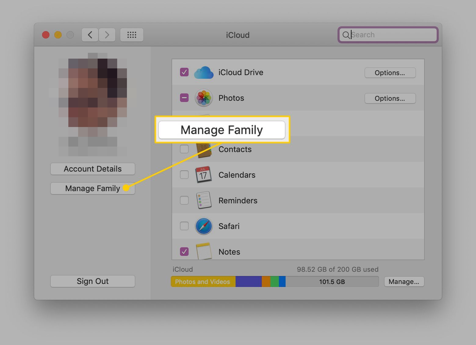 Кнопка «Управление семейством» в системных настройках iCloud