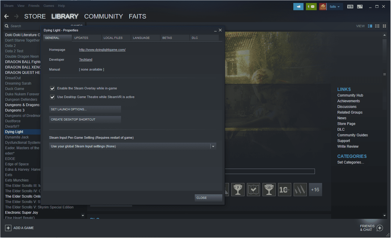 Скриншот меню свойств игры Steam.