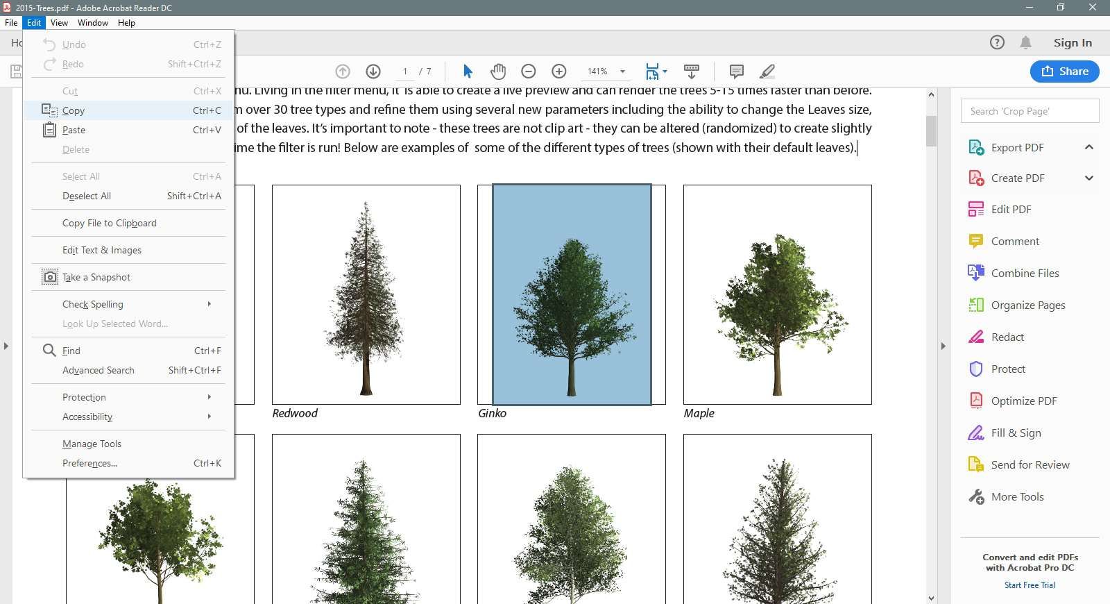 Изображение дерева выбирается в Adobe Reader.