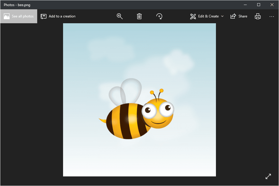 Снимок экрана с изображением пчелы, открытой в приложении Windows 10 Photos