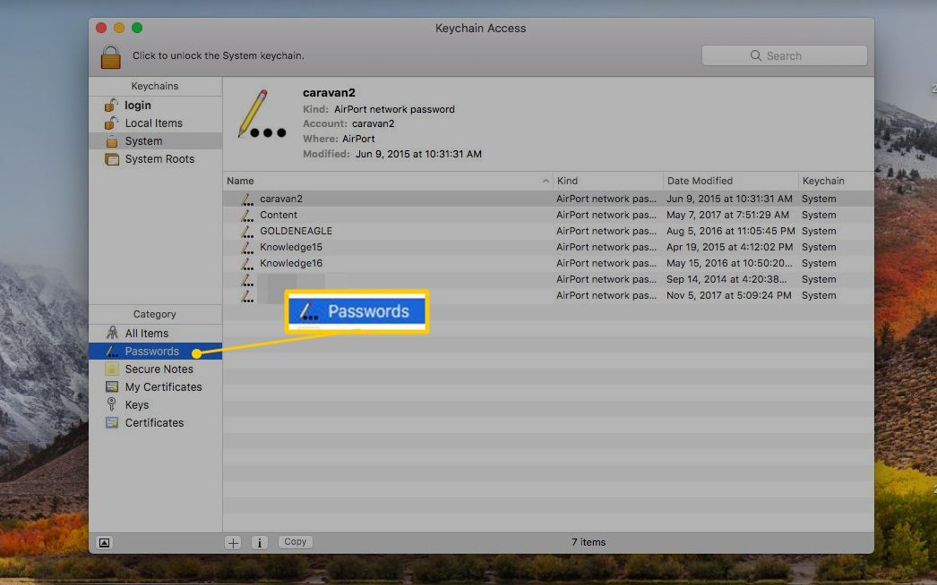 Вкладка «Пароли» в Keychain Access на MacOS