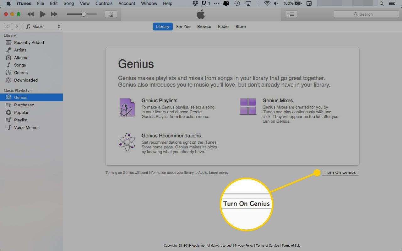 Экран настройки Genius в iTunes
