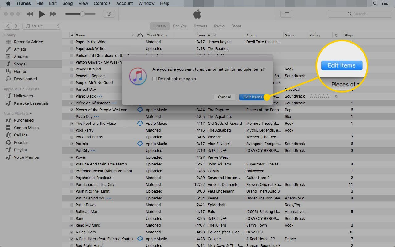 Диалоговое окно в iTunes с выделенной кнопкой «Изменить элементы»