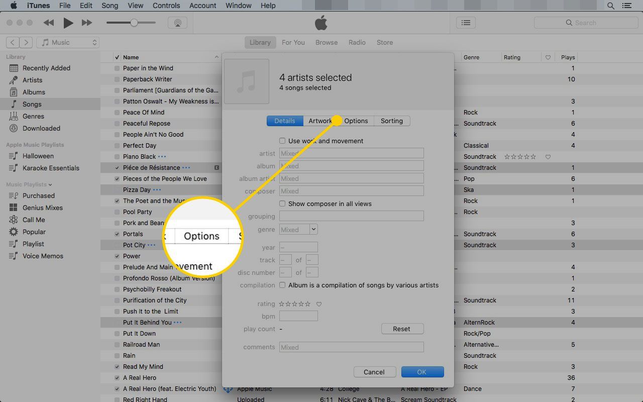 Вкладка «Параметры» в iTunes' Get Info menu