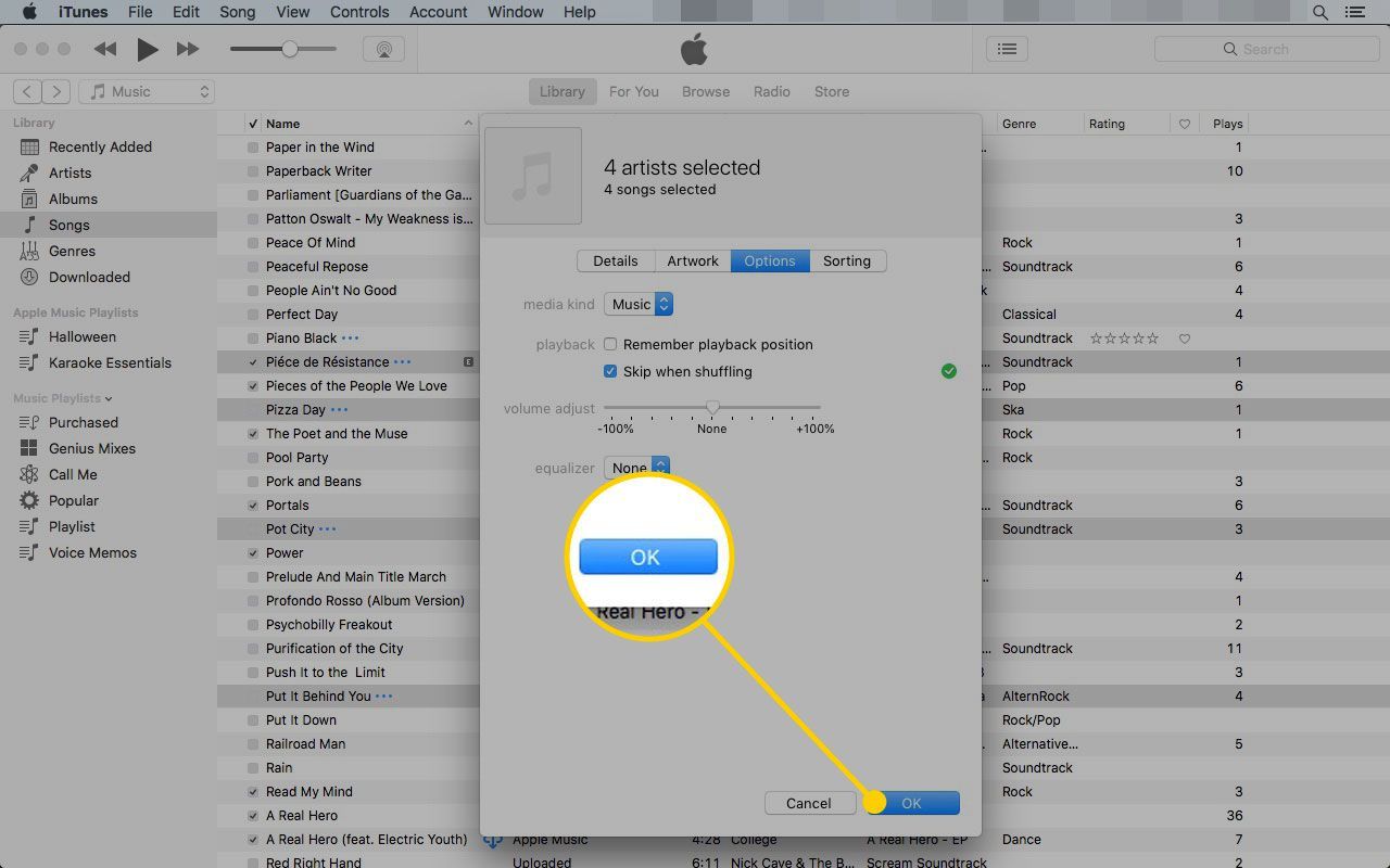 Вкладка «Параметры» в iTunes' Get info box with the OK button highlighted