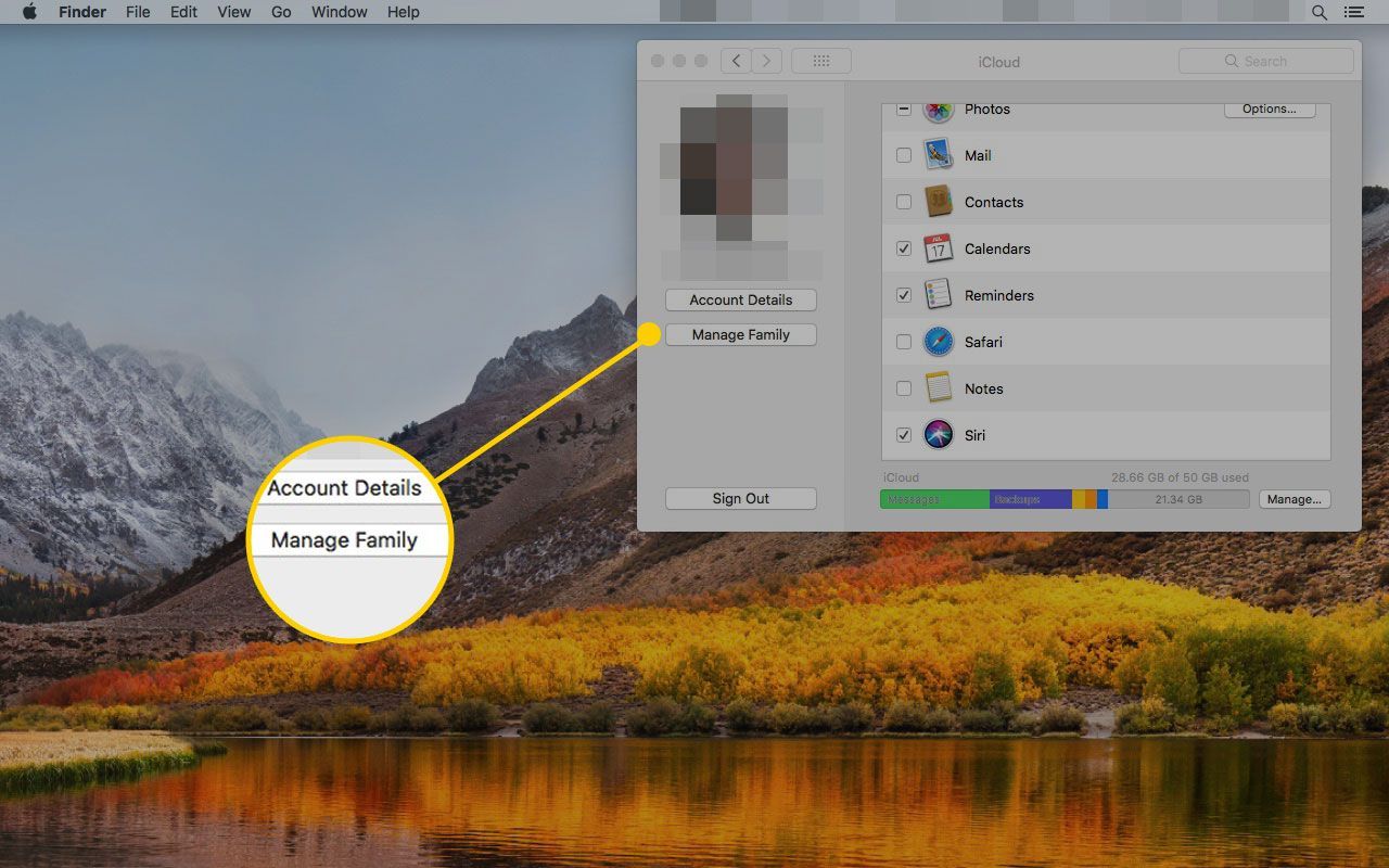 Настройки iCloud на Mac с выделенной кнопкой «Управление семейством»
