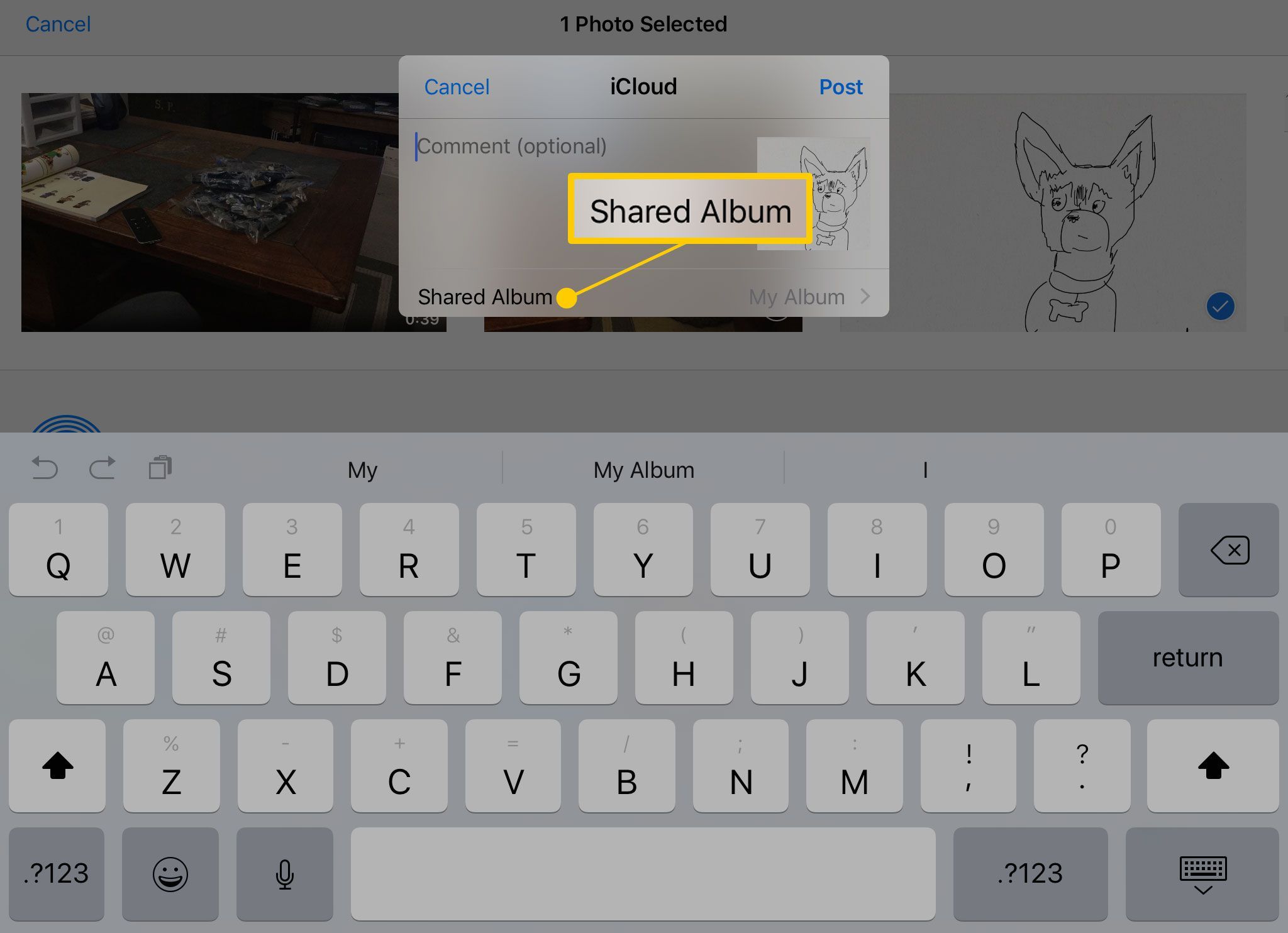 Выбор общего альбома на iPad