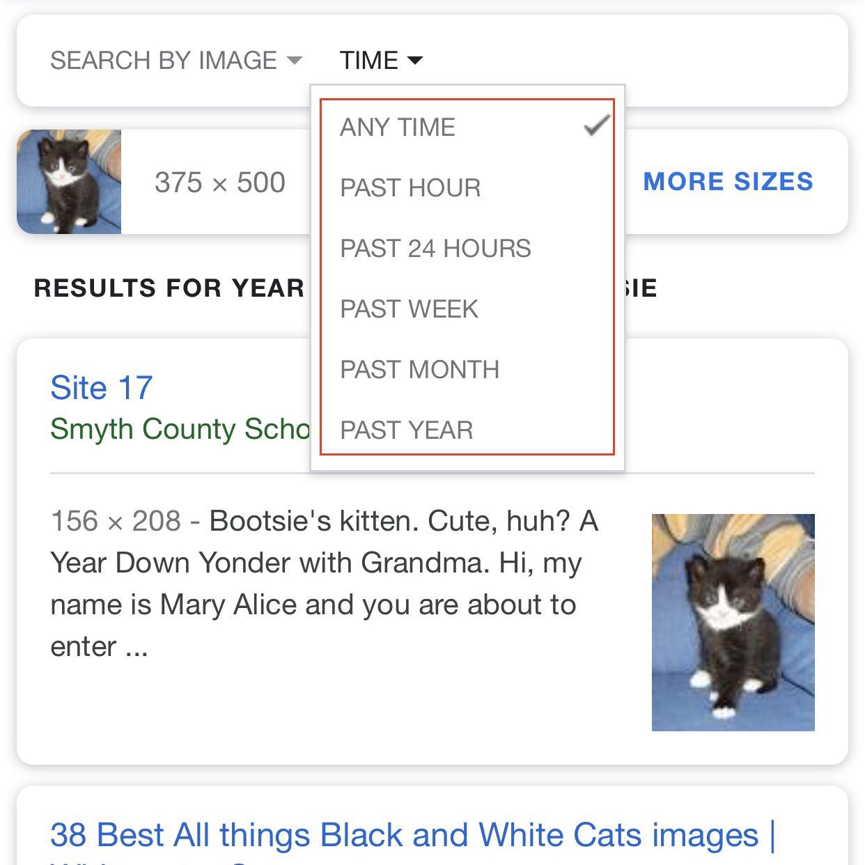Снимок экрана с результатами поиска картинок Google с выделенными параметрами времени.
