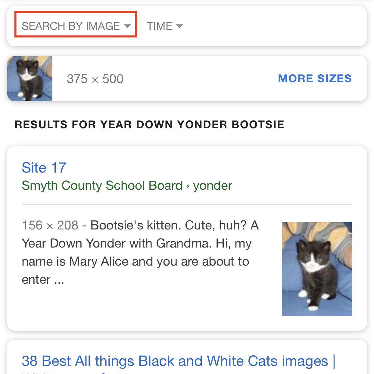Снимок экрана с результатами Google Картинки с выделенной опцией Поиск по изображению.