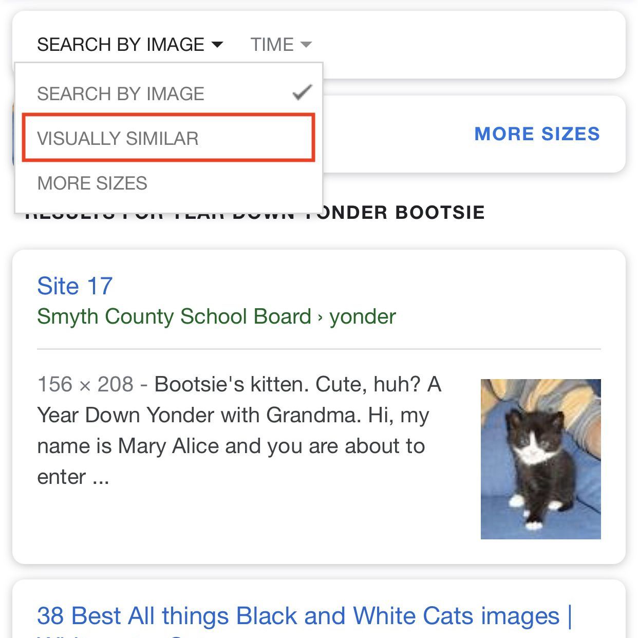 Снимок экрана, на котором показаны результаты поиска изображений Google с выделенным поиском по параметрам изображения.