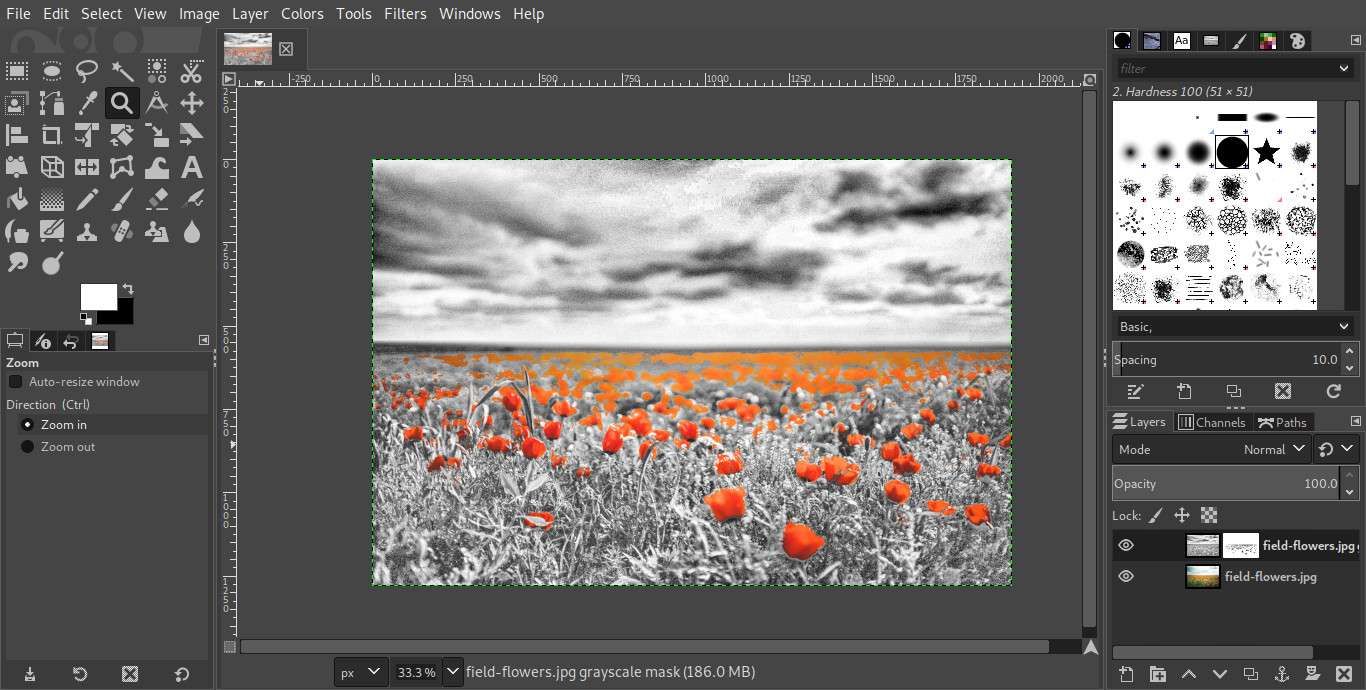 GIMP с вырезанными цветами