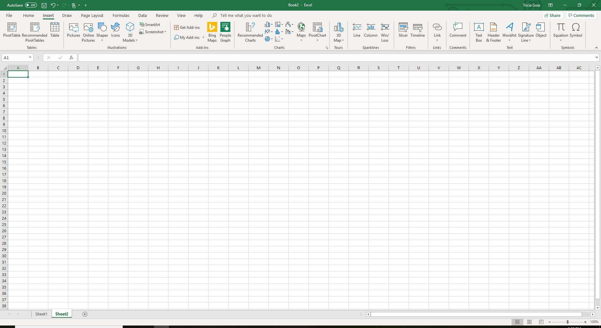 Снимок экрана Excel с выбранной вкладкой 