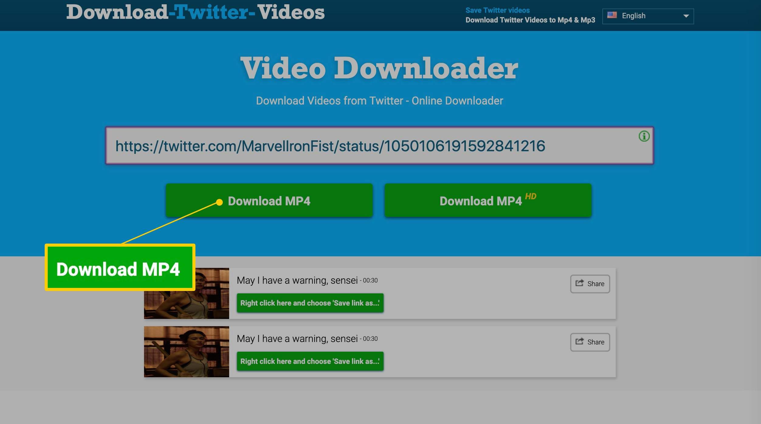 Скачать кнопку MP4 на Video Downloader