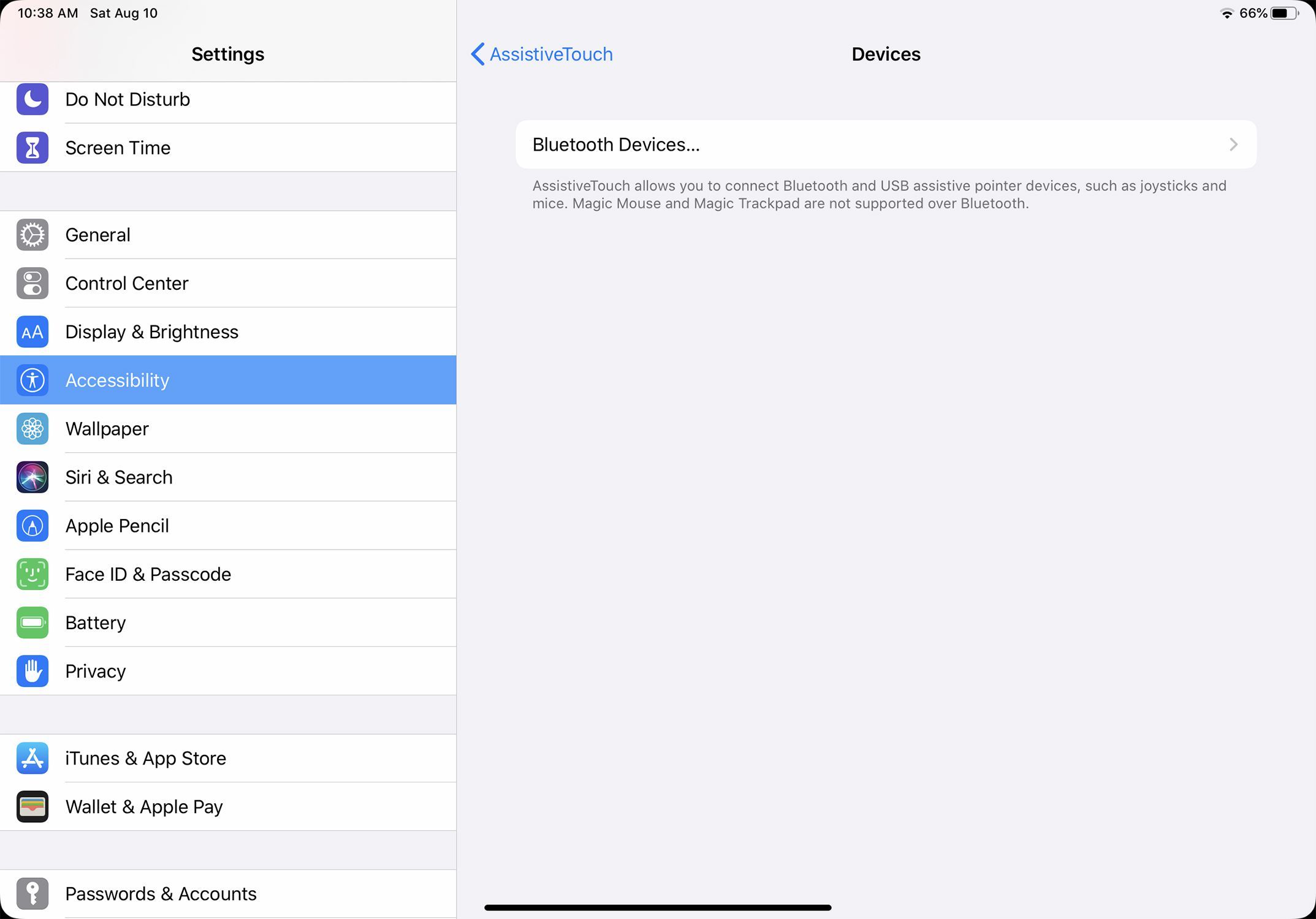 Снимок экрана настроек устройства iPadOS 13 Bluetooth