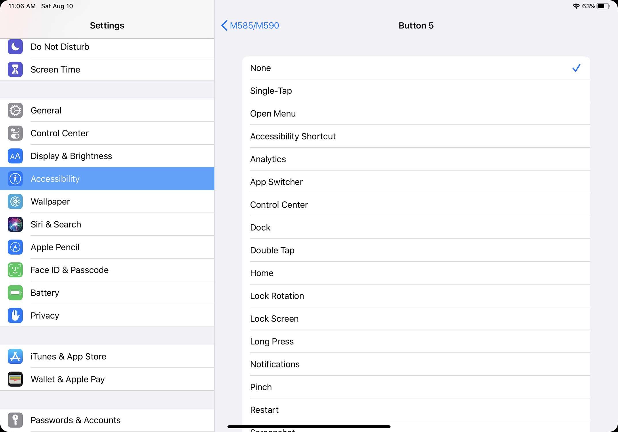 Снимок экрана параметров кнопок мыши в iPadOS 13