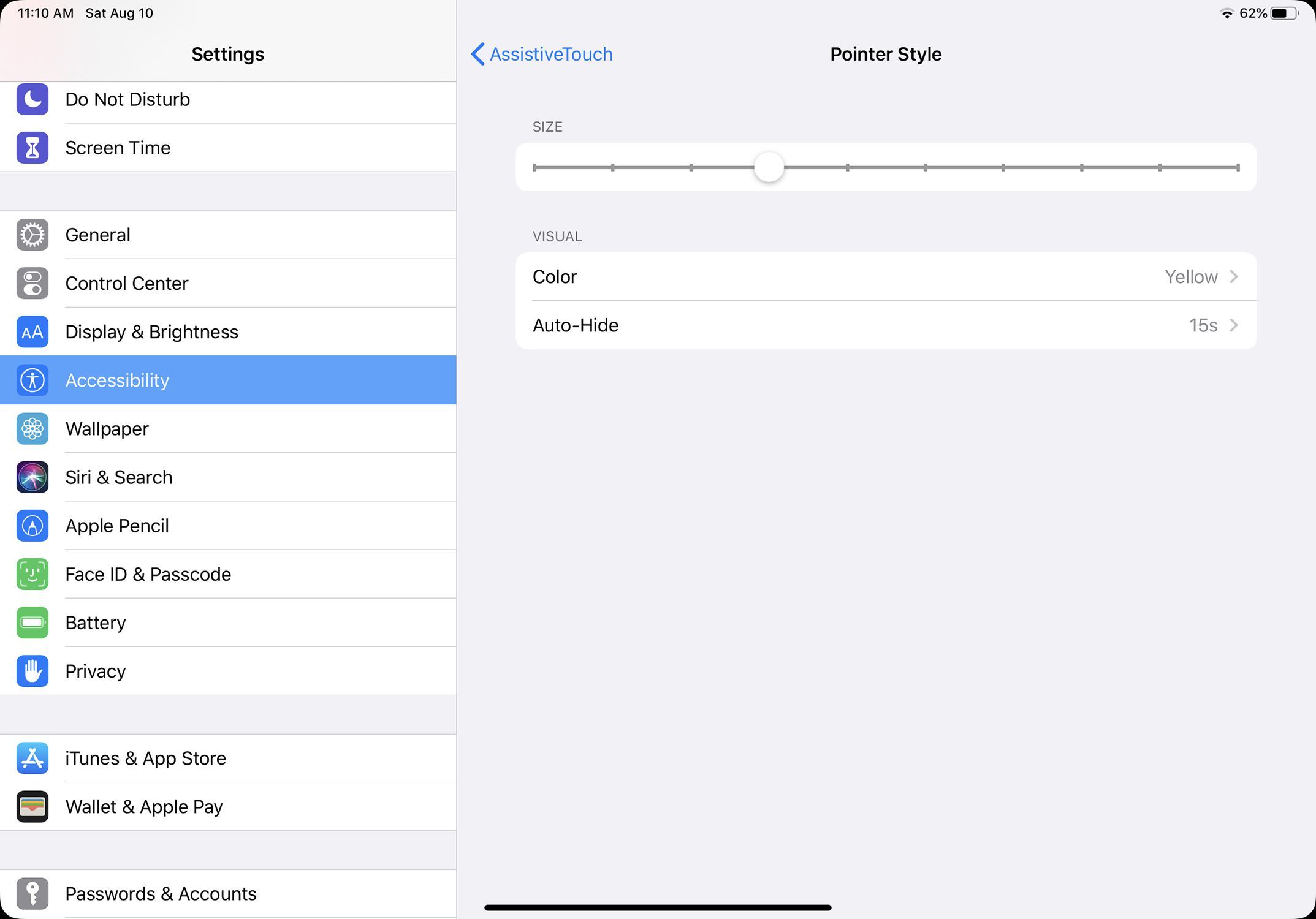 Скриншот размера мыши, цвета, других настроек в iPadOS 13