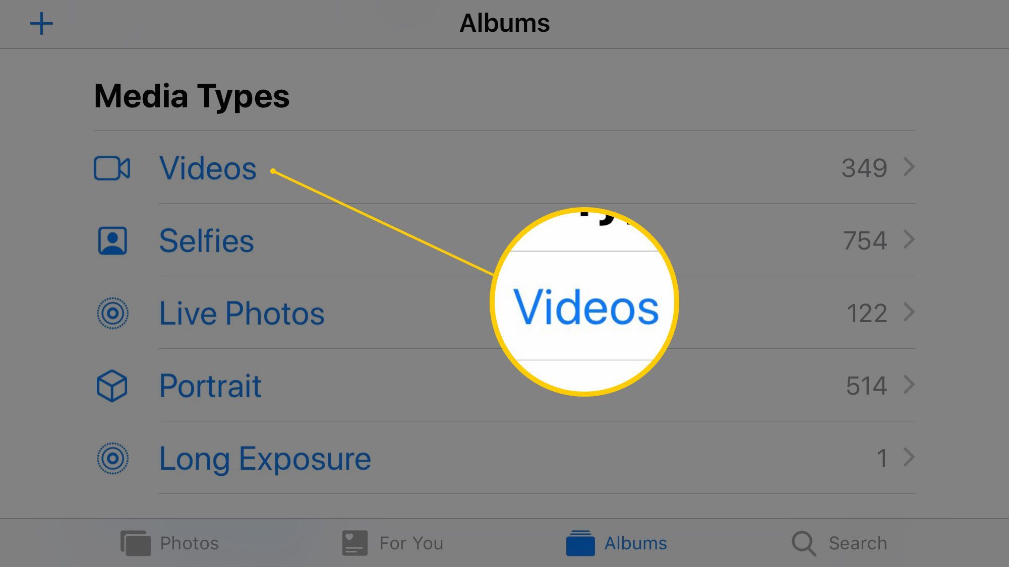 Скриншот iOS 12 iPhone 8 Plus, пейзаж, показывающий видео из раздела «Типы медиа»