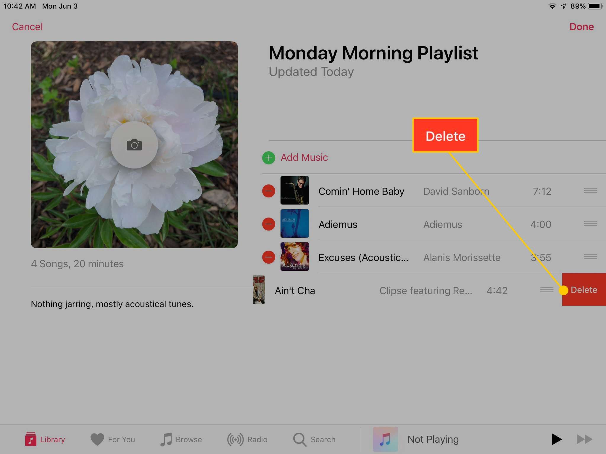 Кнопка «Удалить из списка воспроизведения» в приложении «Музыка» на iPad