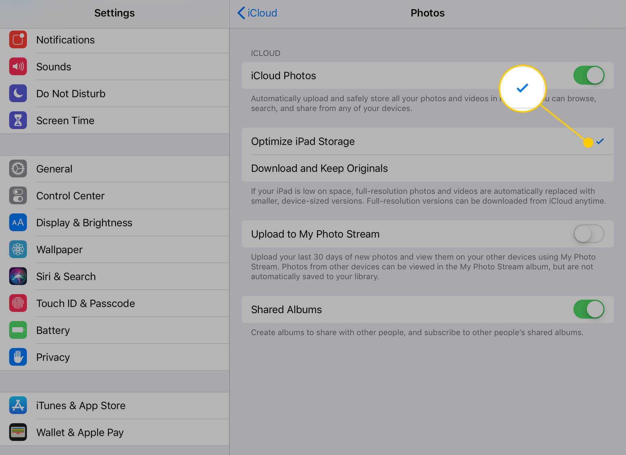 Раздел «Фотографии» настроек iCloud, отметив флажок «Оптимизировать хранилище iPad»