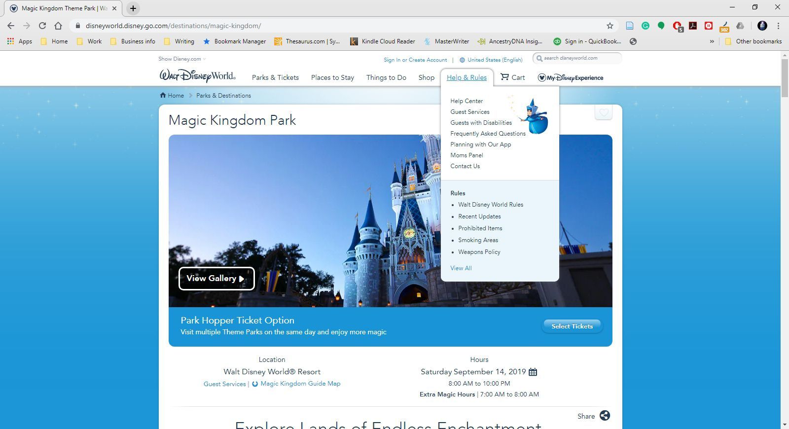 Просмотр страницы Disney World в Chrome.