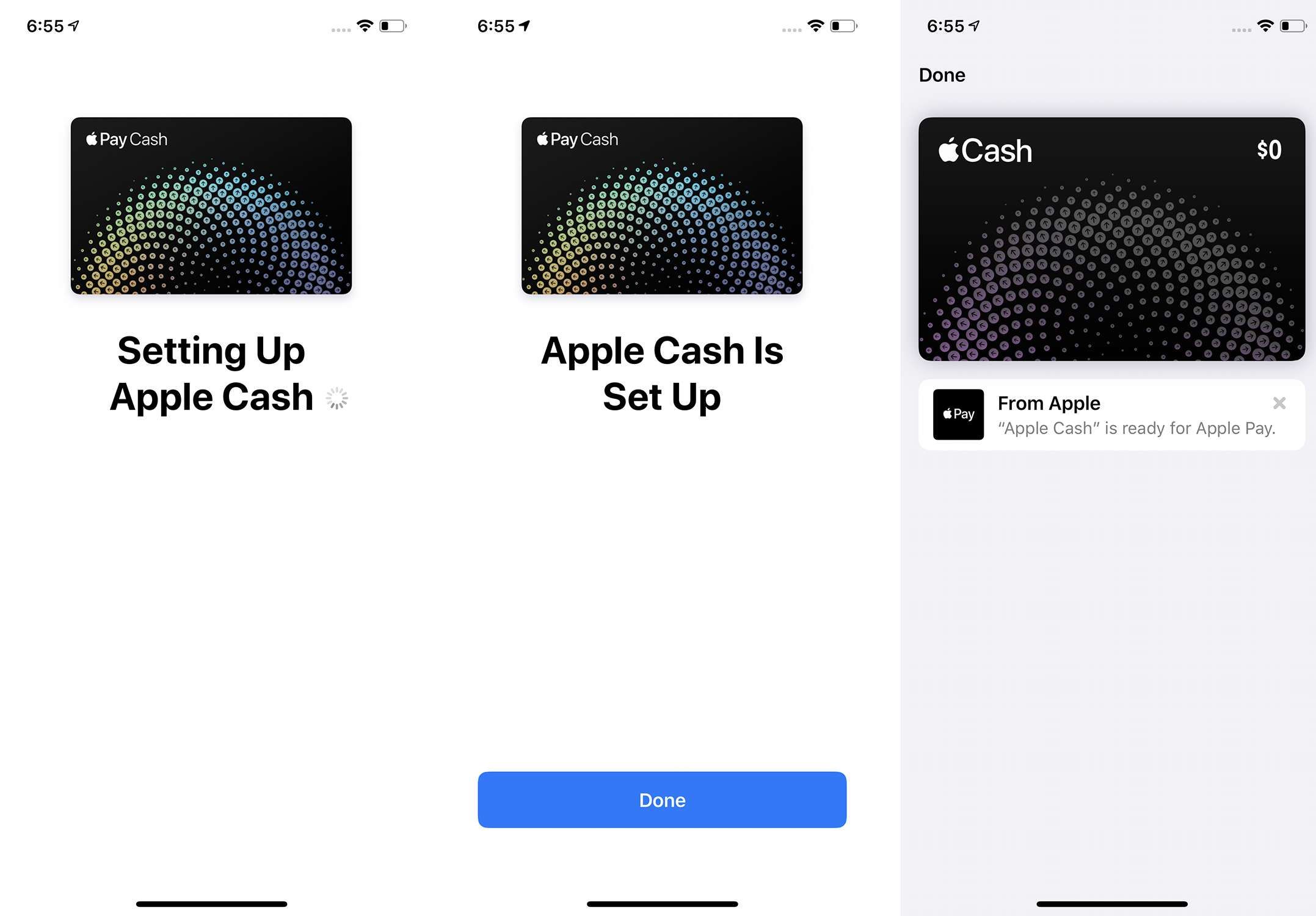 Скриншоты последних 3 шагов настройки Apple Pay Cash