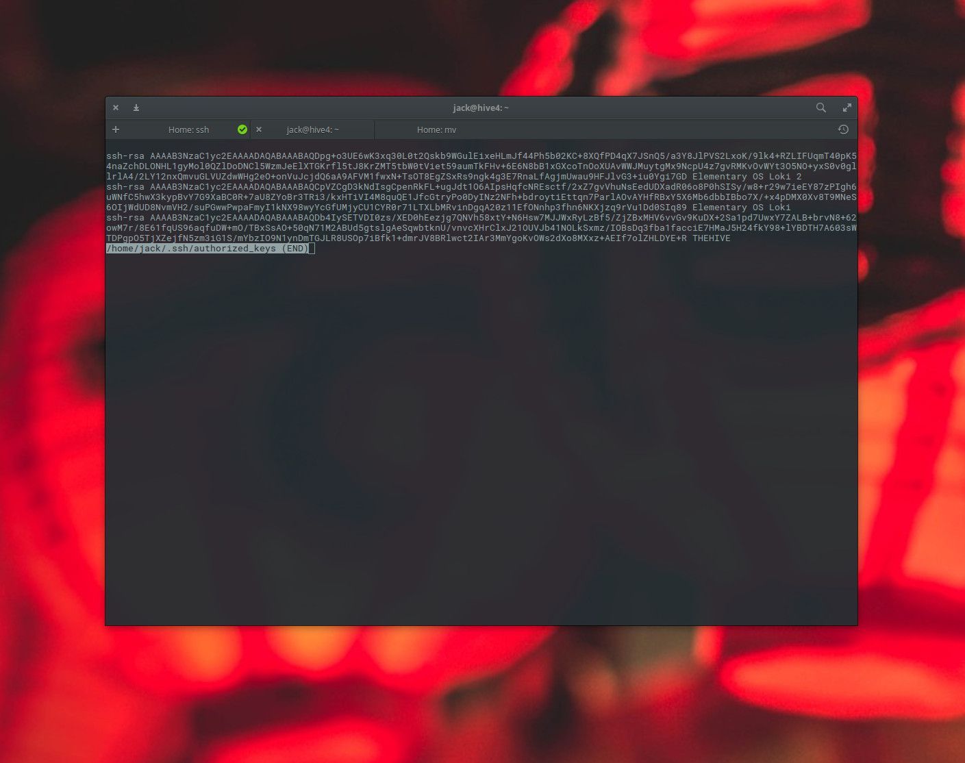 Снимок экрана файла author_keys, найденного в Linux.
