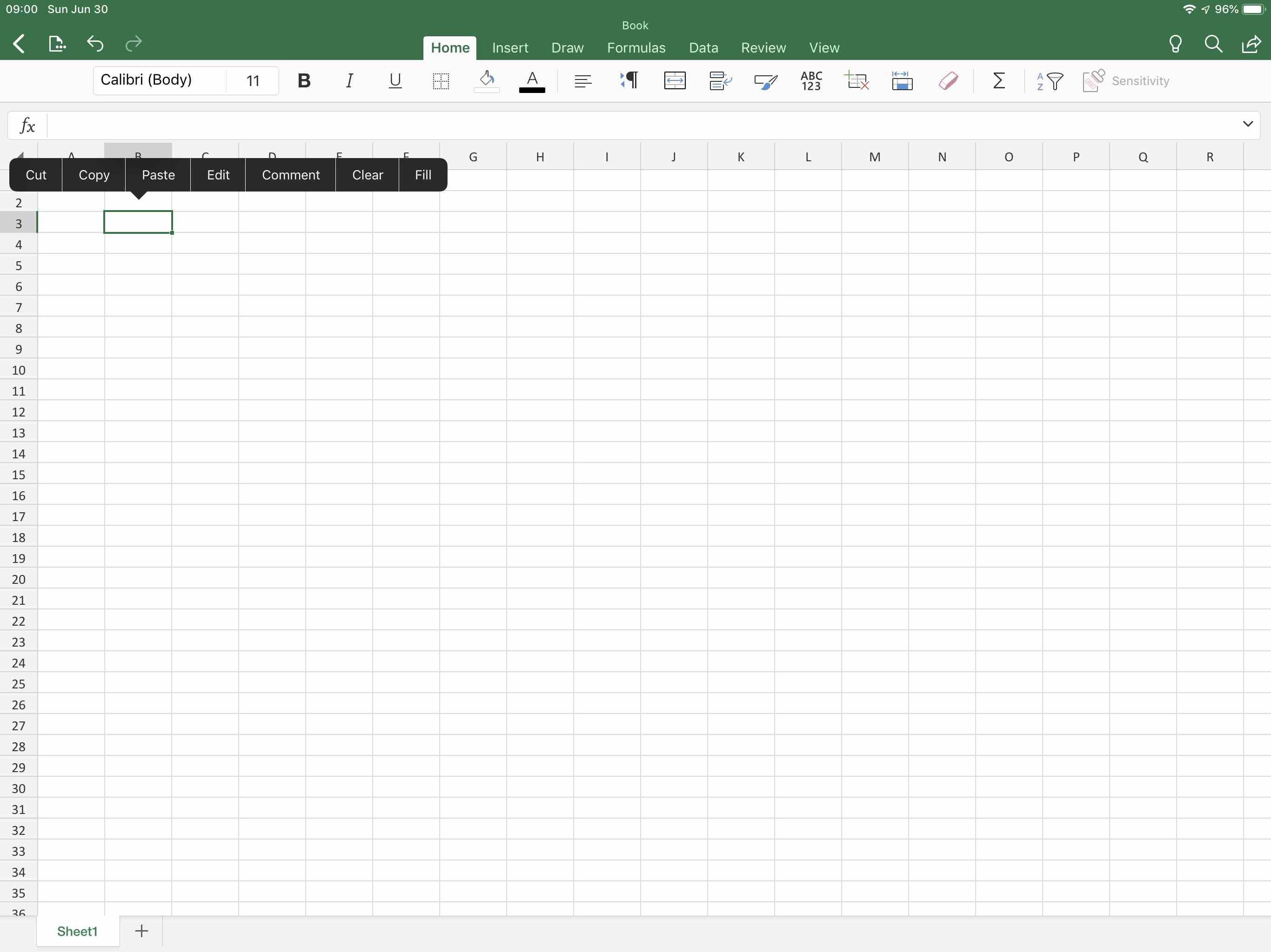 Снимок экрана Excel на iPad с подключенной ячейкой и