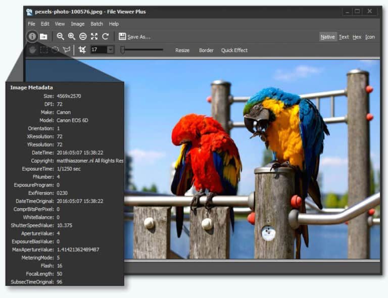 Best GIF Making Software for Windows 10 