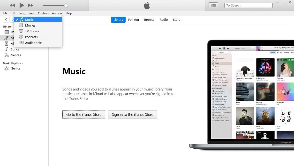 Скриншот iTunes.
