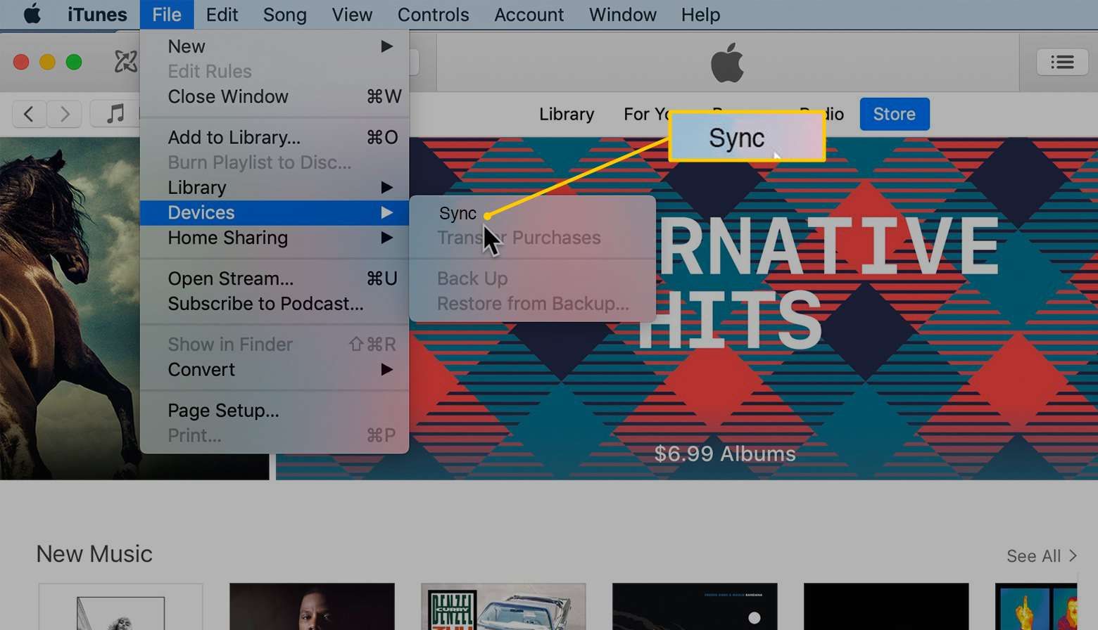 Пункт меню синхронизации в iTunes