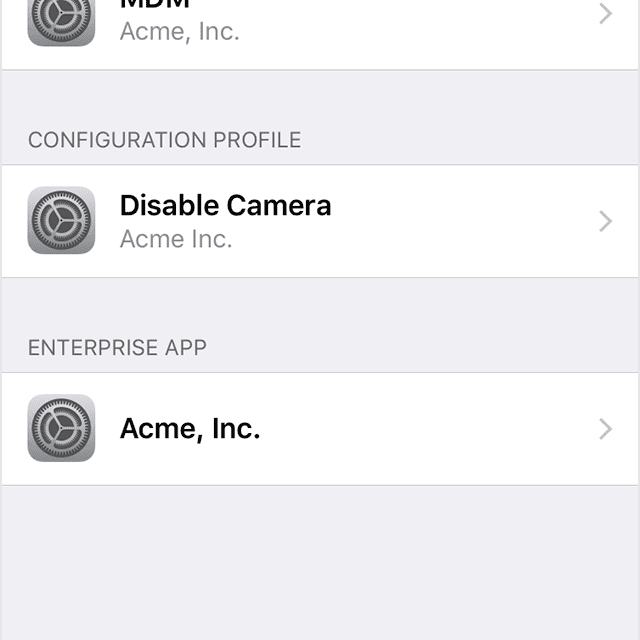 Экран настроек на iPhone профилей и управления устройством.