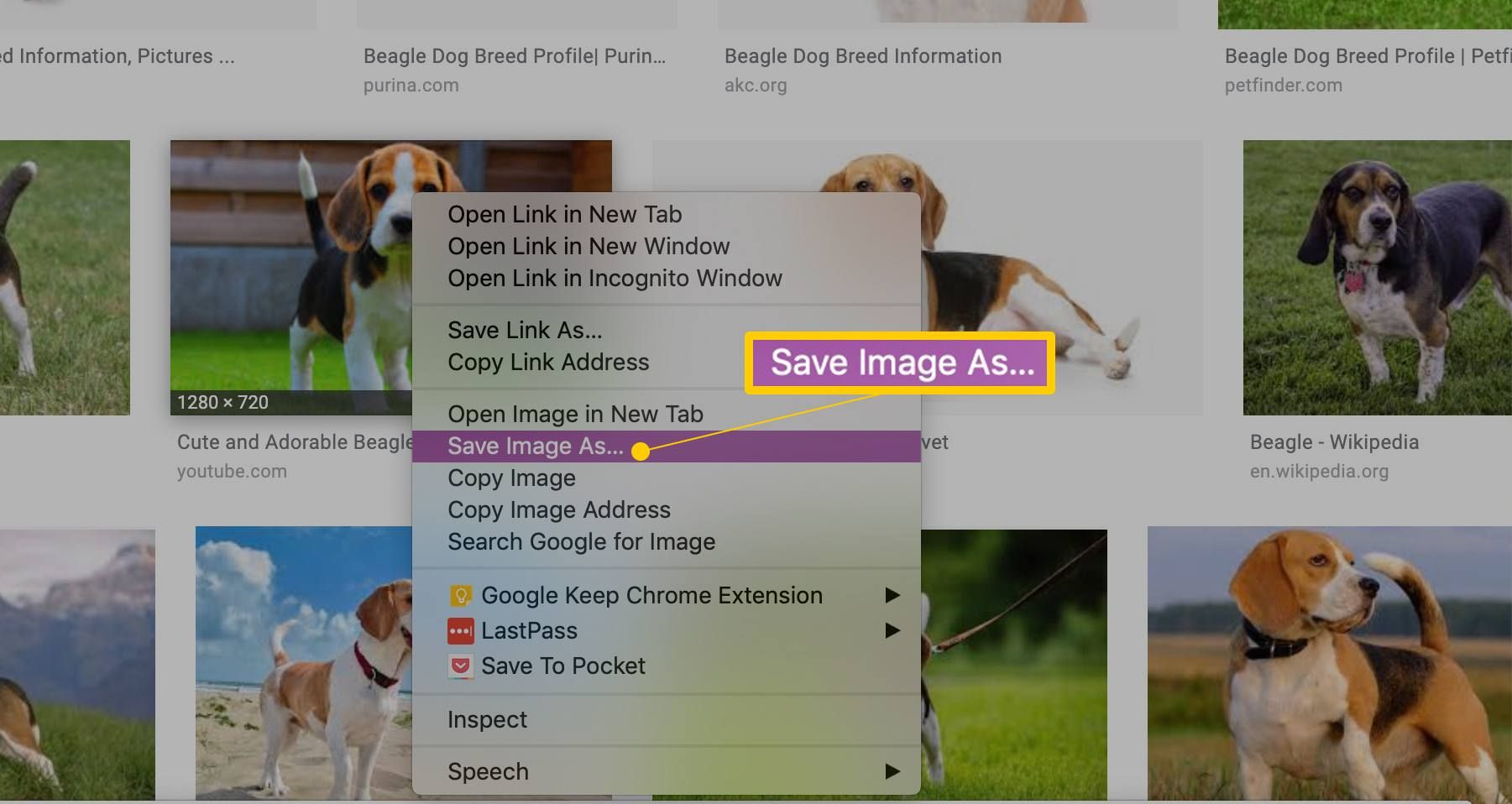 Пункт меню Сохранить изображение как ... в macOS / Google Images