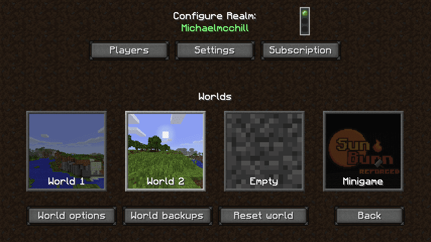 Снимок экрана конфигурации Minecraft Realm