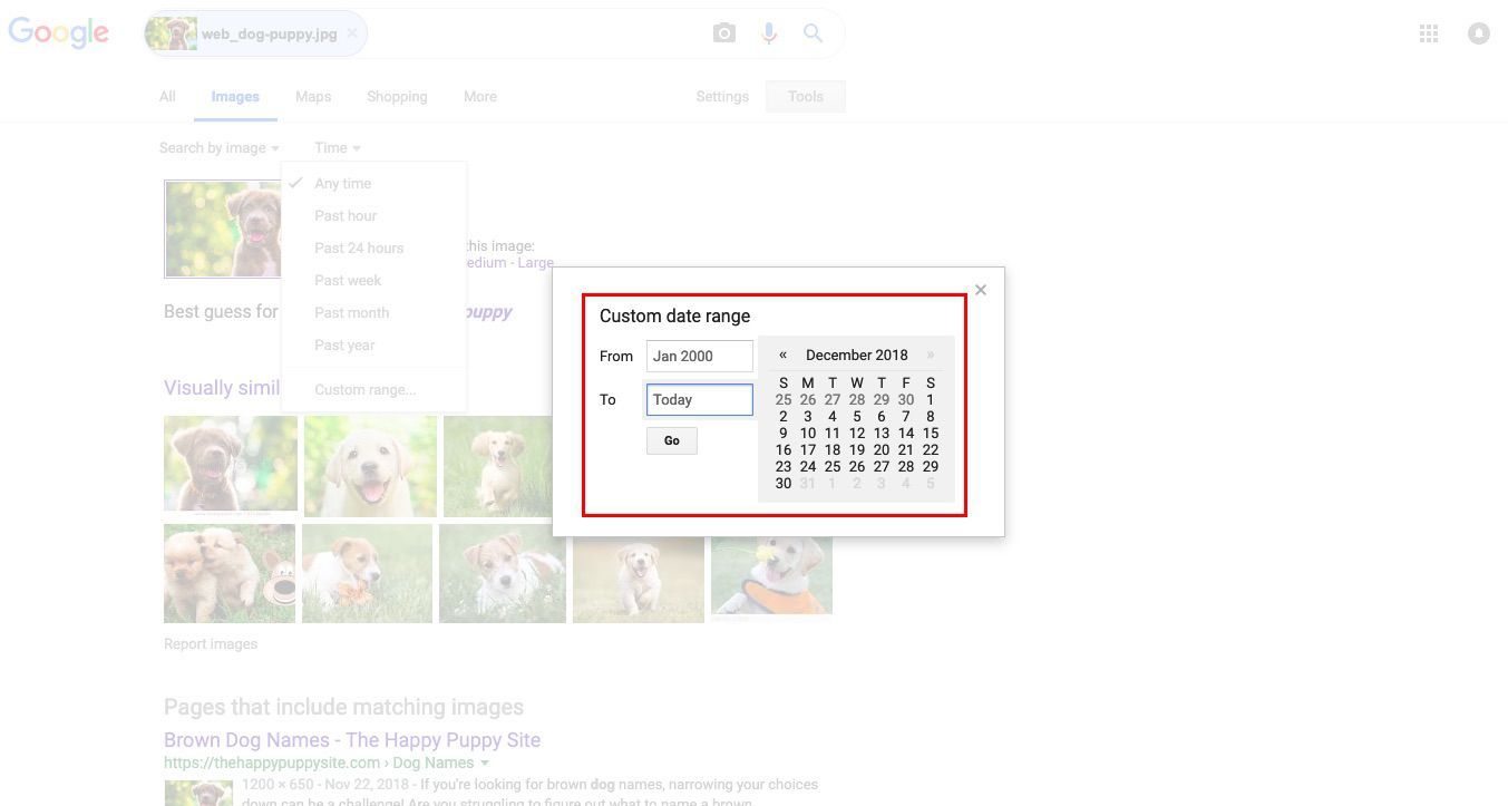 Поиск картинок Google Пользовательский инструмент диапазона дат