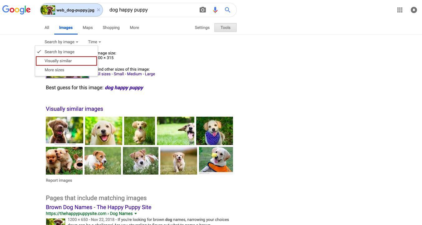 Результаты поиска картинок Google с выделенными пунктами меню Поиск по изображению и визуально похожими