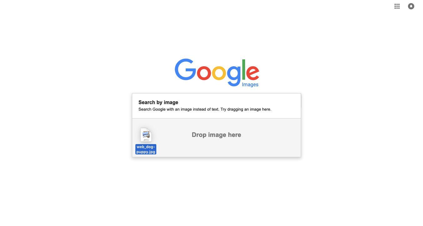 Файл, перетаскиваемый в окно поиска изображений Google.