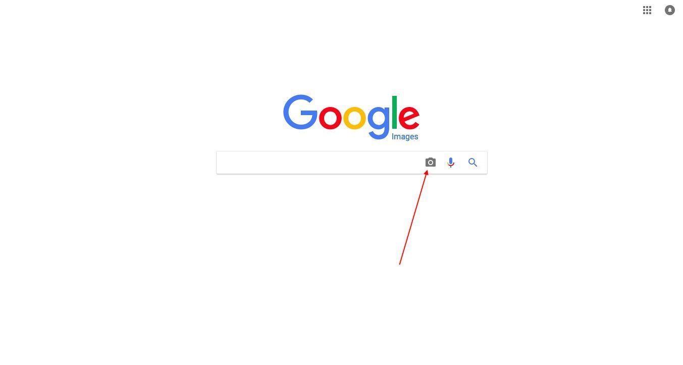Панель поиска Google с выделенным значком камеры