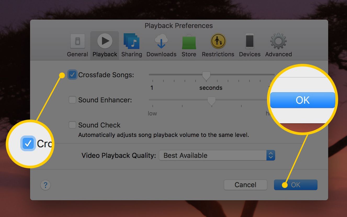 Снимок экрана: окно настроек воспроизведения в iTunes для Mac с выделением флажка «Crossfade Songs» и кнопки «ОК»