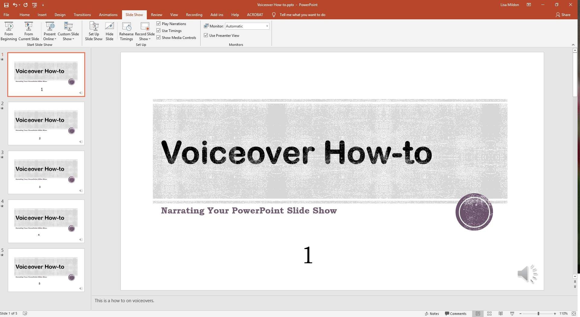 PowerPoint Slide Show показывает параметры.
